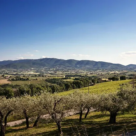 Casale Satriano *